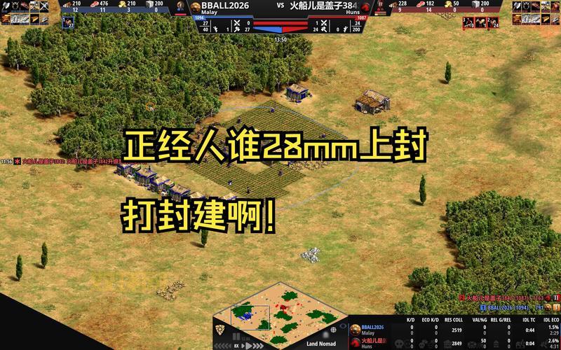 帝国时代2秘籍有哪些？老玩家分享实战攻略！