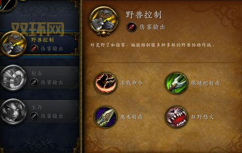 TBC怀旧服猎人实用宏大全，一键输出，解放双手！