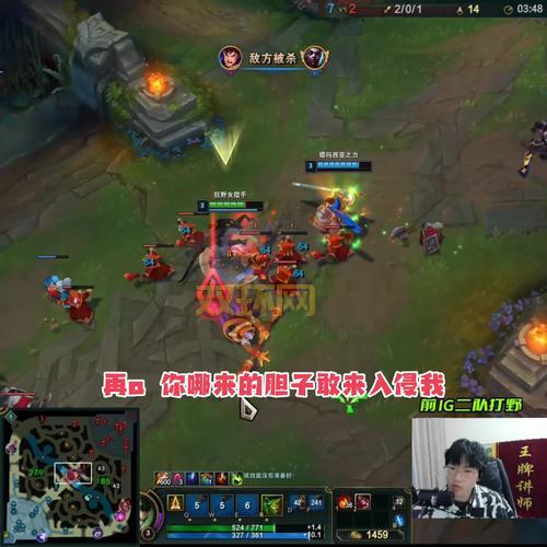 豹女新版本出装最强攻略，学会轻松上王者！