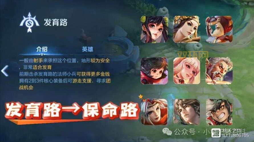 玩转王者荣耀：团队合作与战略解析