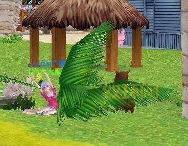 QQ炫舞神兽萌萌位置攻略：轻松找到萌宠