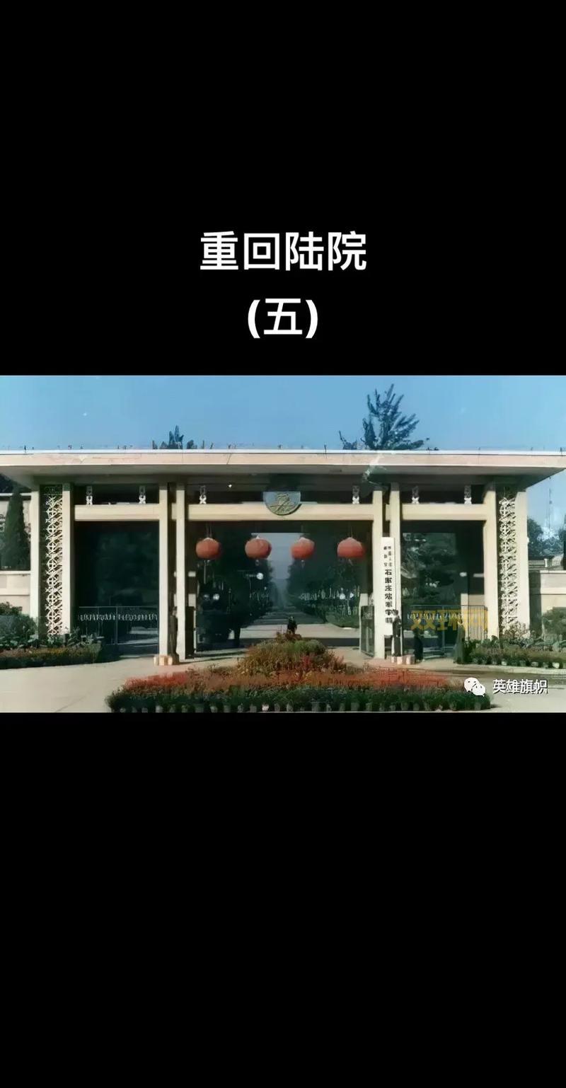 底特律六号辉煌战袍，致敬篮球英雄，重温激情燃烧的岁月！