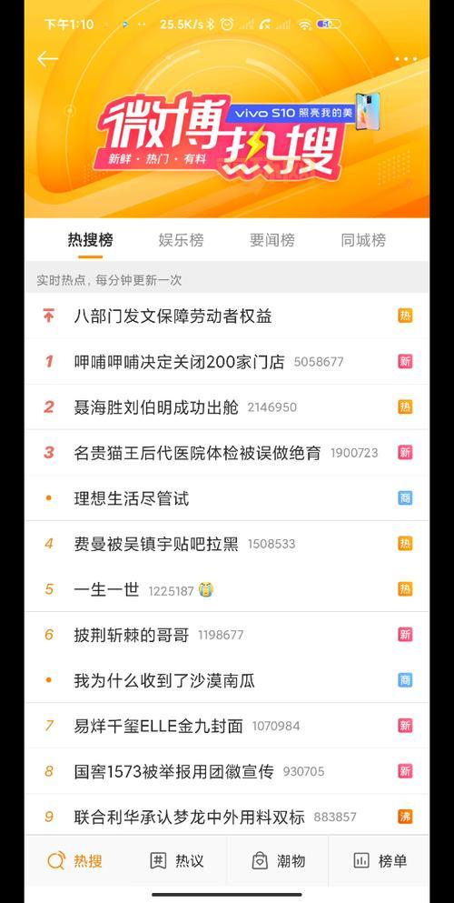 名贵猫王后代在医院体检时被误做绝育手术，宠物主人心碎