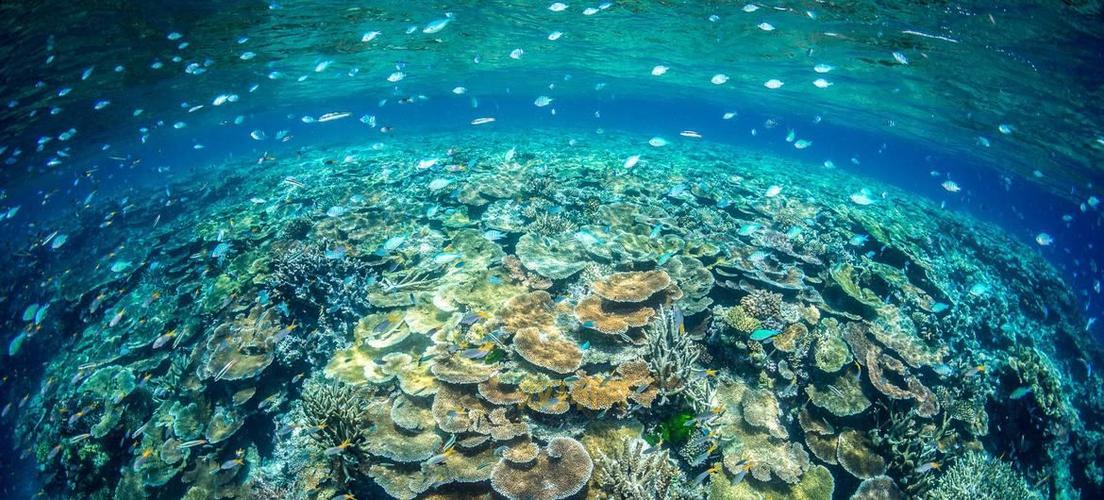 海洋生态系统揭秘：我国不包括的类型是池塘