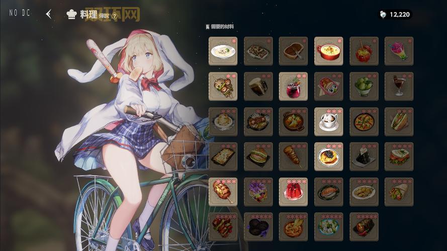 尘埃2中文版下载及安装教程：解决常见问题