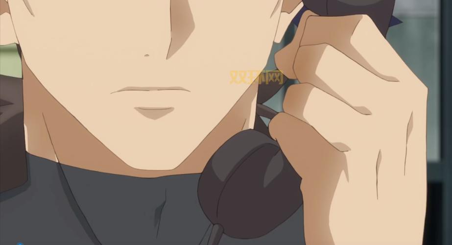 命运守护夜国语版全集在线：观看这部经典日本动漫的最佳方式