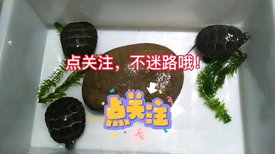 我的dnf账号违反协议被永久封停了，原因竟然是这个！