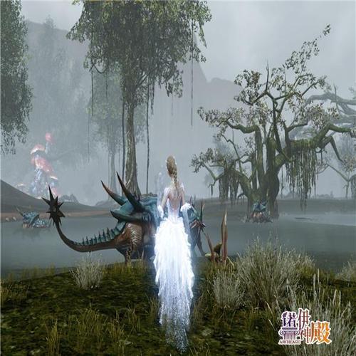 孢子下载官网打不开怎么办？快速解决方法看这里！