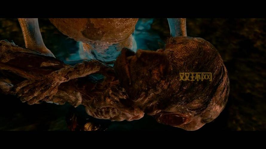 孢子下载官网打不开怎么办？快速解决方法看这里！