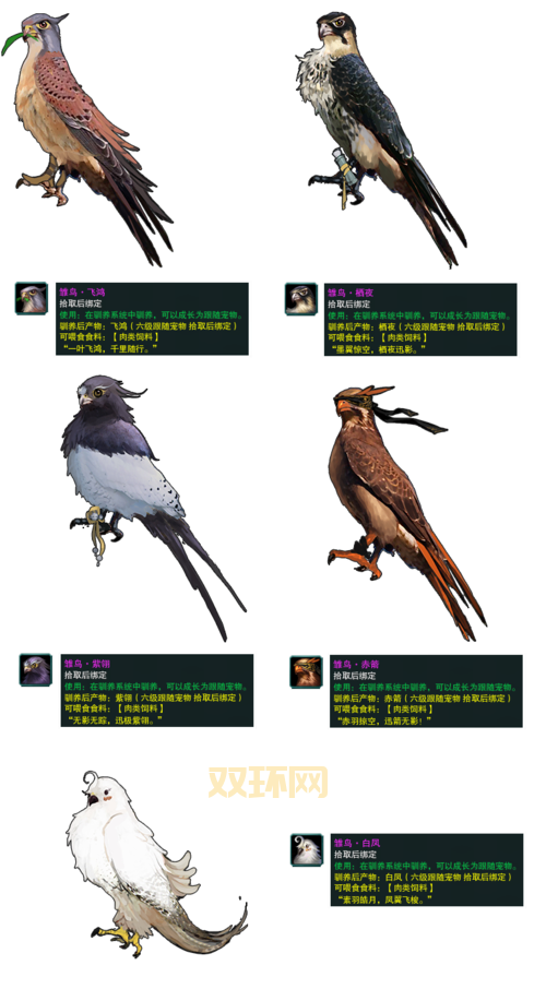 丐帮跟宠任务详解：触发条件、流程与奖励一览