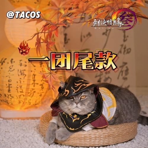 丐帮跟宠任务详解：触发条件、流程与奖励一览