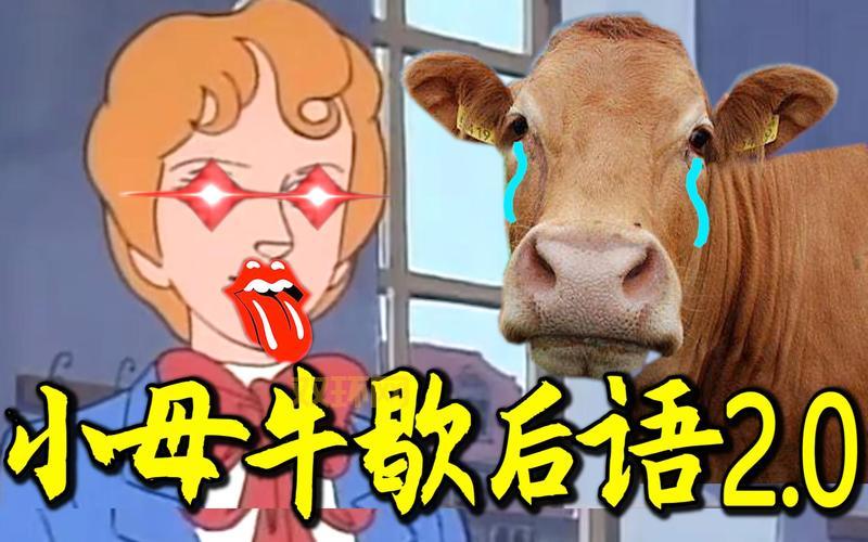 小母牛坐飞机是啥意思？网络流行语大揭秘！