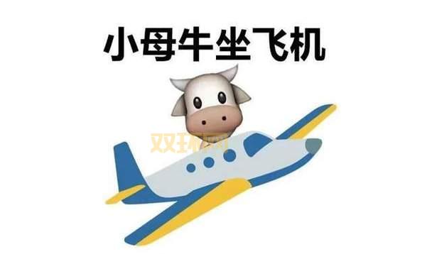 小母牛坐飞机是啥意思？网络流行语大揭秘！