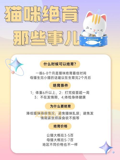 想买星星的猫？先看看这篇购买指南！