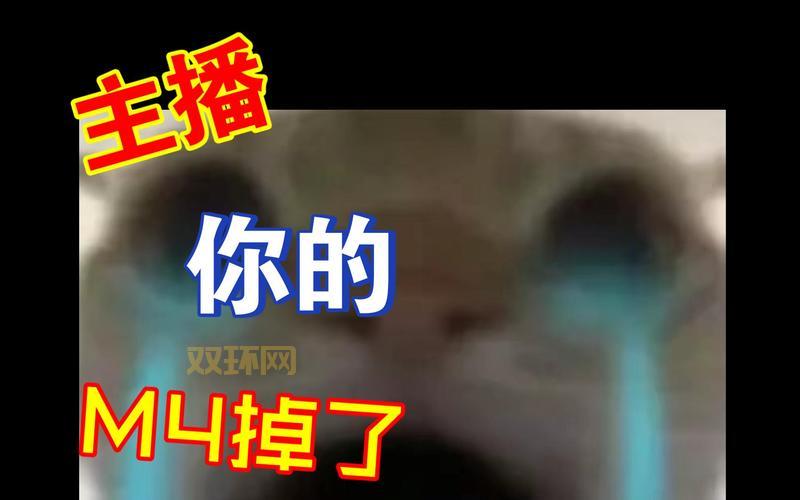 我秀56主播有哪些？热门主播推荐给你！