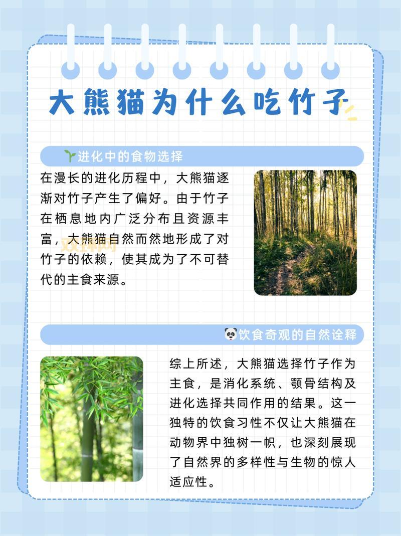大熊猫爱吃的竹子是什么？饲养员最常用哪几种？