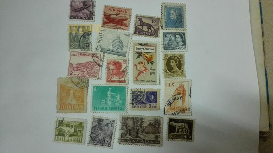 哪里有优嫖的信息？这几个地方可以安全找到！