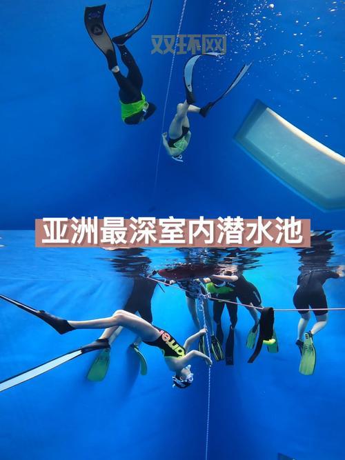 画笔海岭有什么特别之处？潜水爱好者必看！