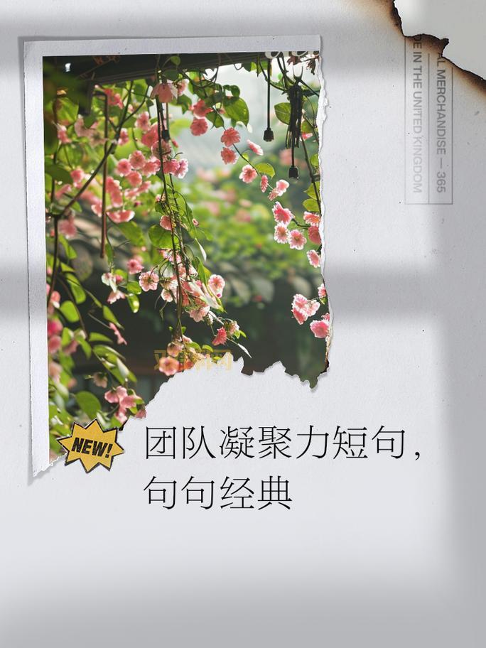 什么是家族凝聚力？一族的团结就是最好的答案！