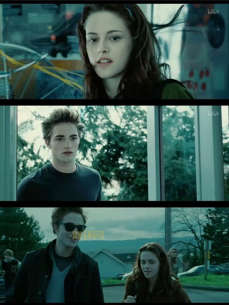 暮光传奇到底讲了啥？这个故事也太好看了吧！