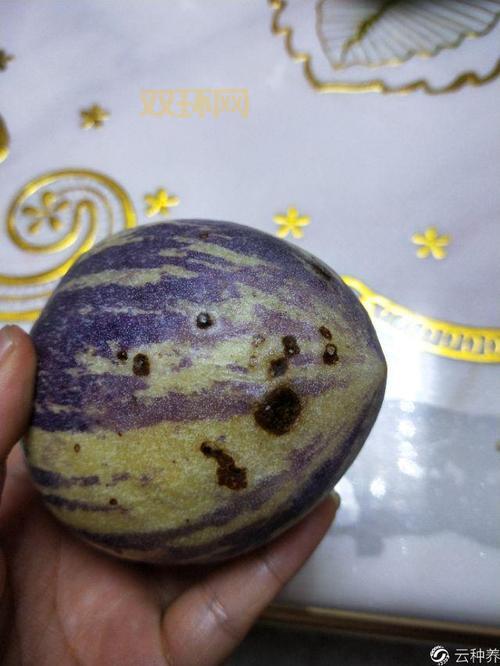 qq空间人参果怎么快速获得？这几个方法很有效！