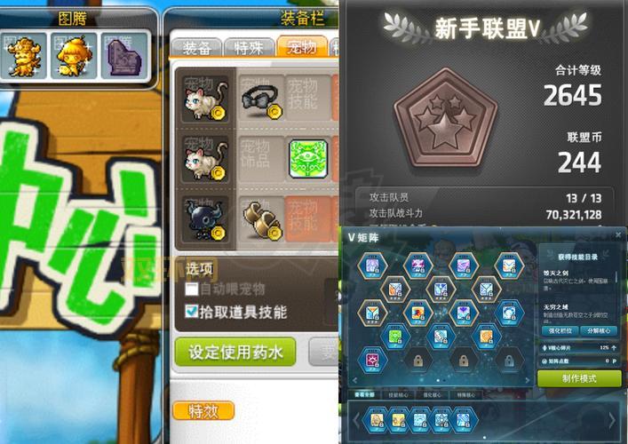 冒险岛口袋栏放什么道具？老玩家教你最佳选择！