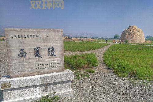 西夏online好玩吗？玩家真实体验分享！