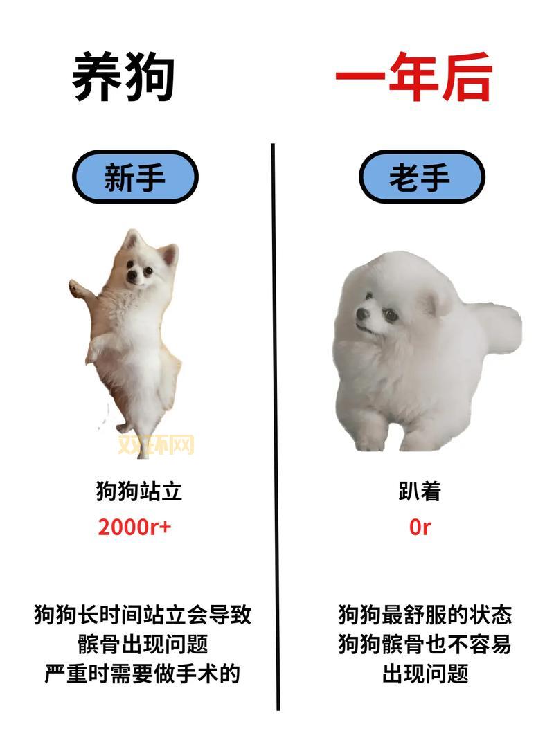 菲菲洛克王国辅助最新版怎么用？新手必看攻略！