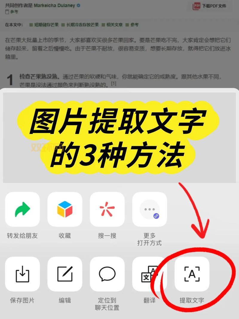 搞不懂115提取码怎么用？看这篇超详细图文教程！