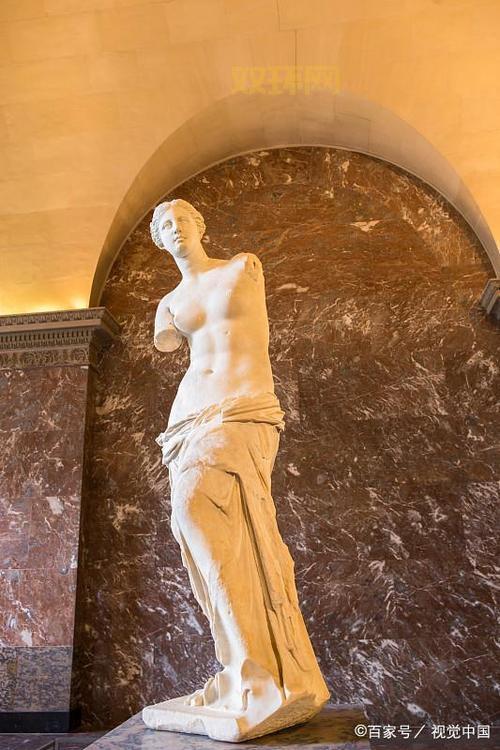 维纳斯人质是什么？这篇文章带你深度解析！