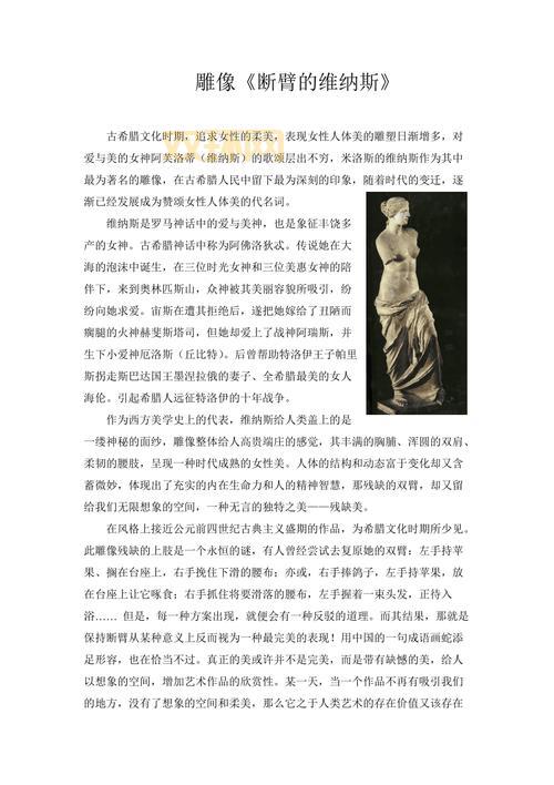 维纳斯人质是什么？这篇文章带你深度解析！