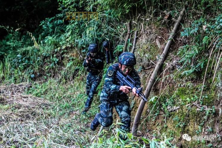 莫言cf视频全集锦，高清流畅一次看过瘾！
