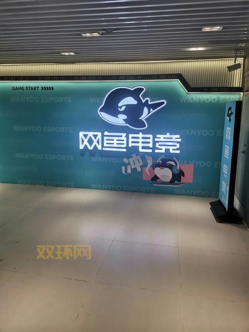 网吧媒体推广效果好吗？看看目标用户就知道价值！