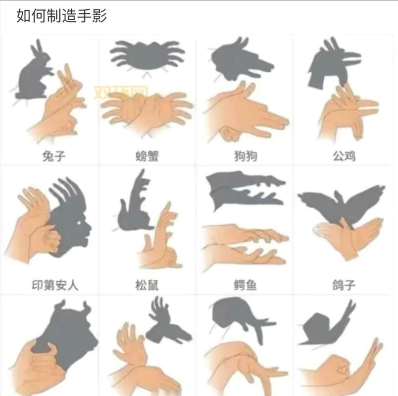 影子系统2008怎么用？新手也能轻松上手的教程！