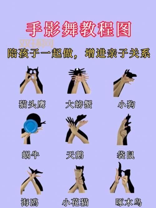 影子系统2008怎么用？新手也能轻松上手的教程！