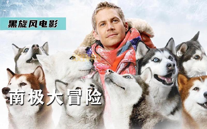 南极大冒险讲的啥？一个真实故事改编的电影！