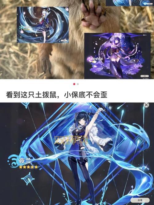 csol画眉多少钱能抽到？保底机制详解看这里！