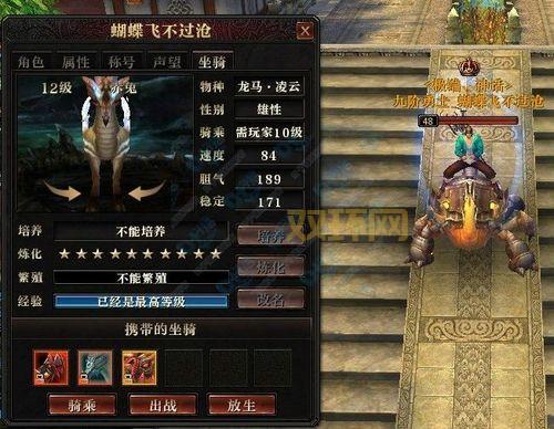 坐骑复制难不难？新手也能轻松学会的技巧！