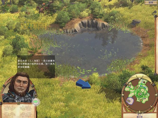 工人物语6 帝国崛起攻略：新手入门到精通，快速上手！