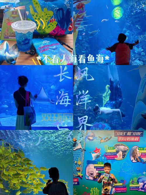 怎么去海底需要什么条件？不是所有人都能去要注意！