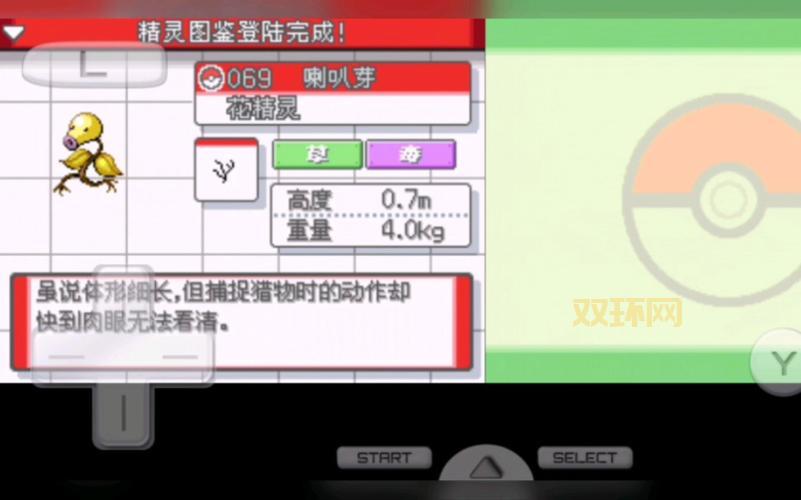 为什么我的口袋妖怪心金黑屏？大神教你如何彻底告别黑屏！