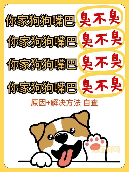 宠物天赋如何培养？训宠达人教你开发潜能！