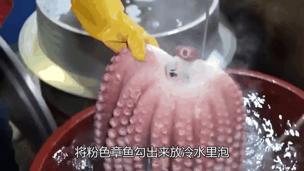 巨型黑章鱼的触须吓人吗？潜水员亲身经历分享！