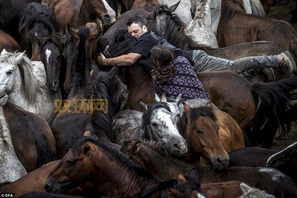 俩男一马什么梗？简单几句话，带你了解事件来龙去脉！