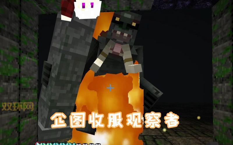 想知道我的世界观察者有啥用？这篇文章给你答案！