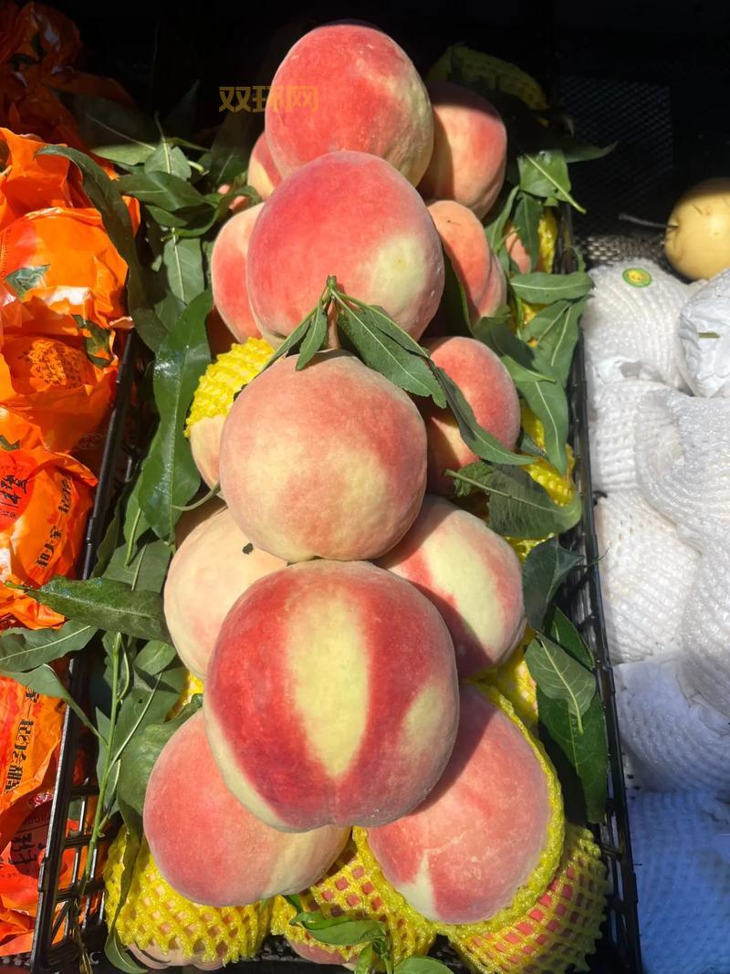 义乌土豆团购网，本地农户直供，新鲜看得见！