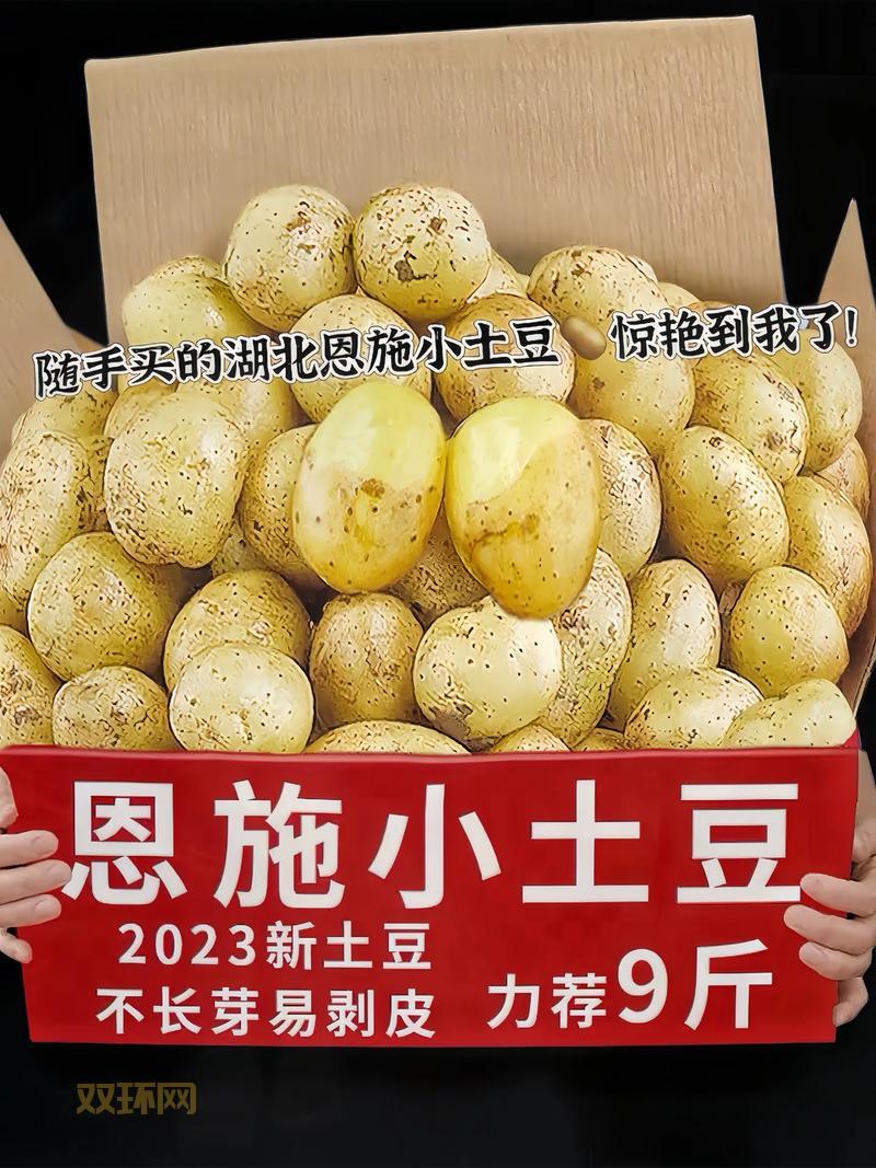 义乌土豆团购网，本地农户直供，新鲜看得见！
