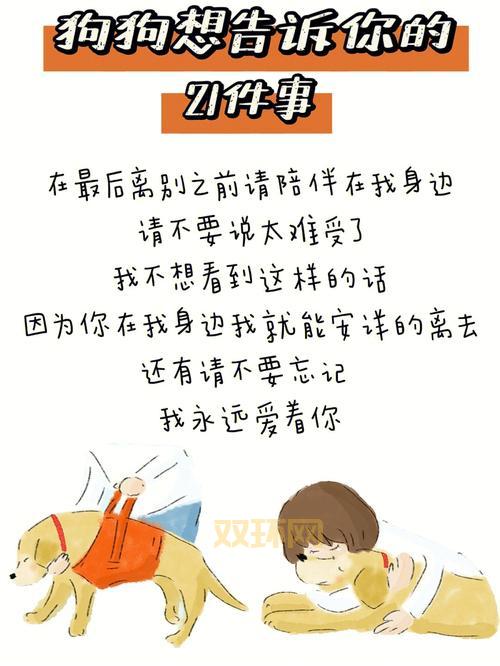 想看口工漫画里库番本？这几个网站你一定得知道！