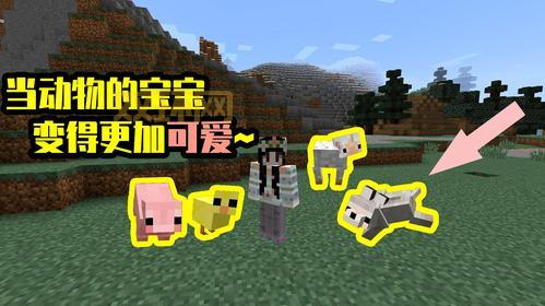 我的世界怎么养动物？老玩家分享实用技巧！