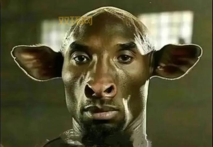 孙笑川是什么梗？为什么大家都喜欢玩这个梗？